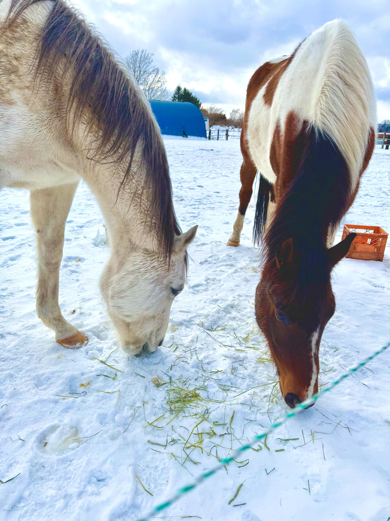 284b68e3-0130-4de9-aa68-6d697353bc6f