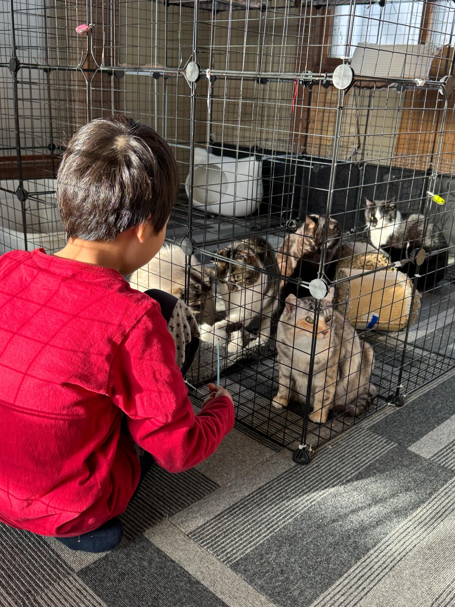 b254ab9e-407b-420b-b43d-70629a36c24c