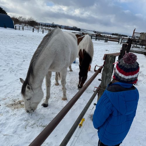 16bad3d0-9b4c-44e8-a5b6-8a2555599dce